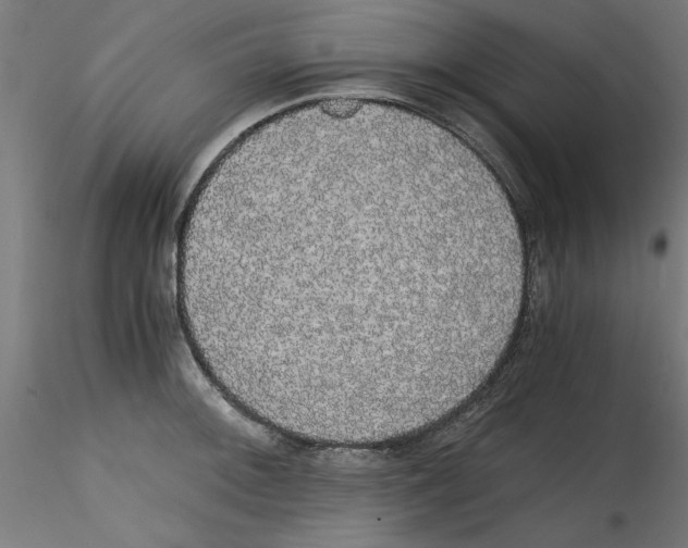 X0000114591092200911301354
