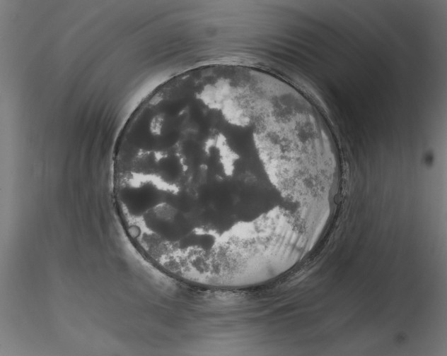 X0000114591095200911301354