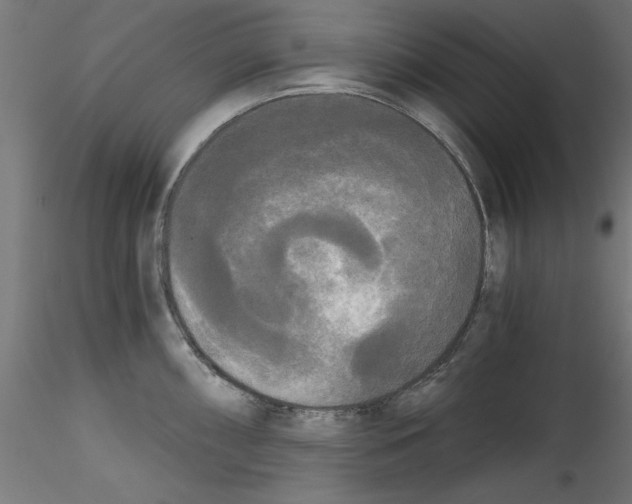 X0000114591098200911301354