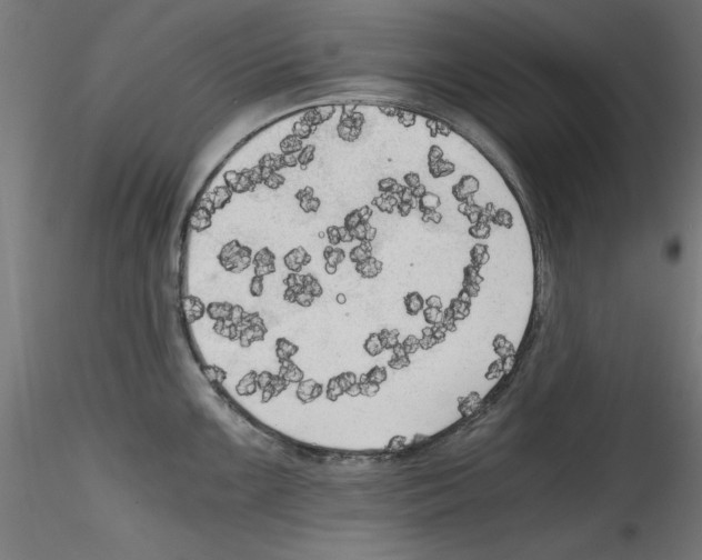X0000114591099200911301354