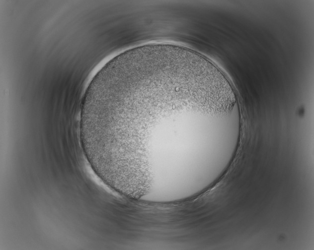 X0000114591100200911301354