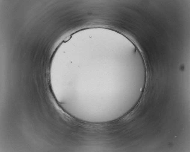 X0000114591101200911301354