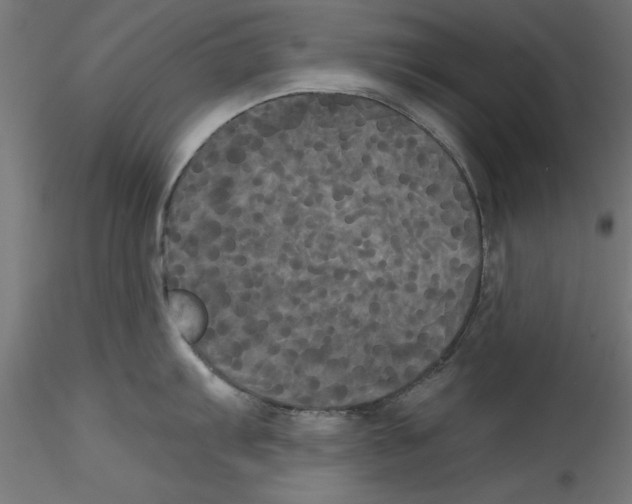 X0000114591103200911301354