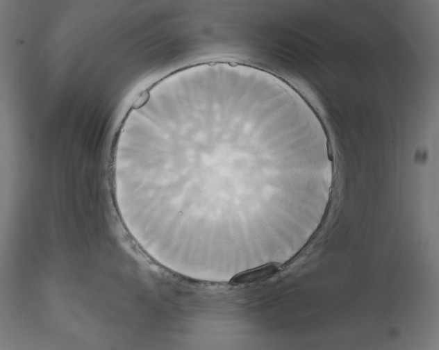 X0000114591104200911301353
