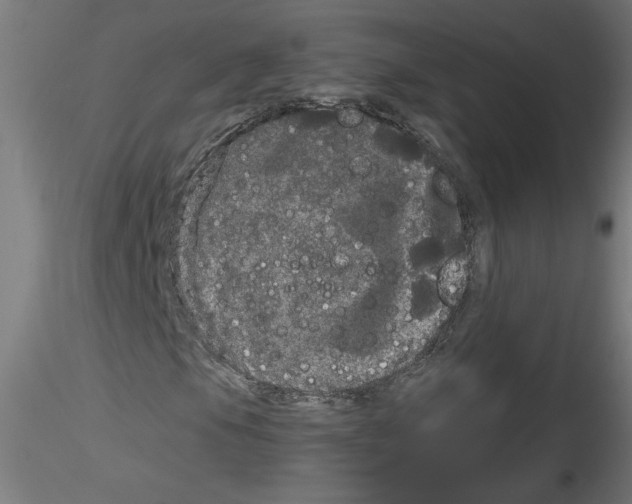 X0000114591105200911301353