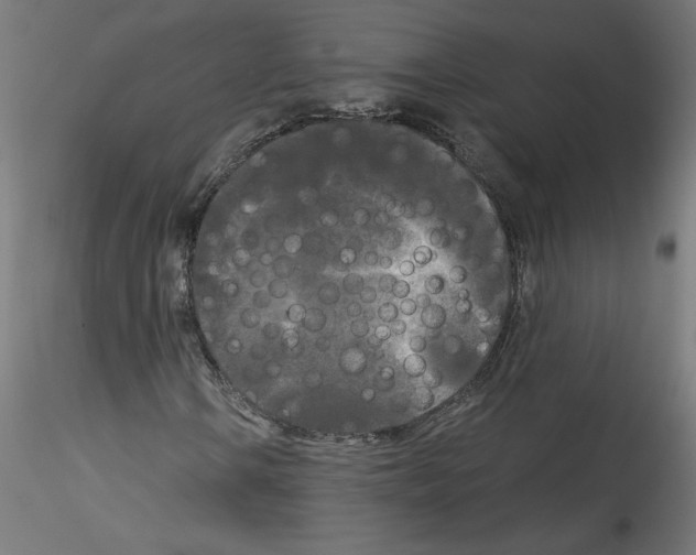 X0000114591106200911301353