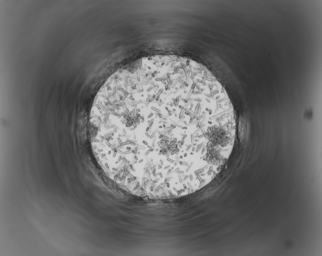 X0000114591107200911301353