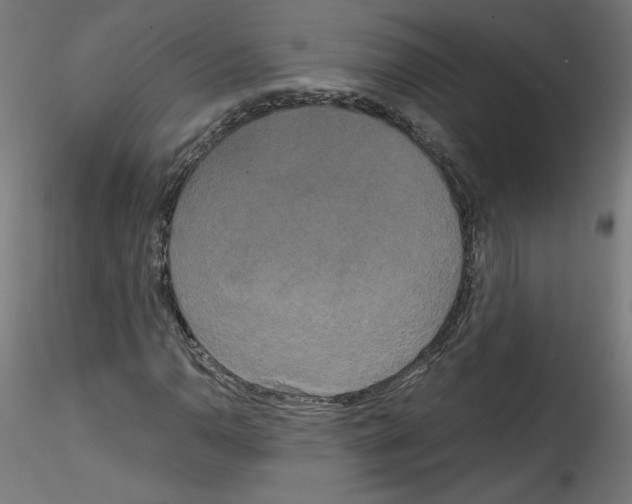 X0000114591110200911301353