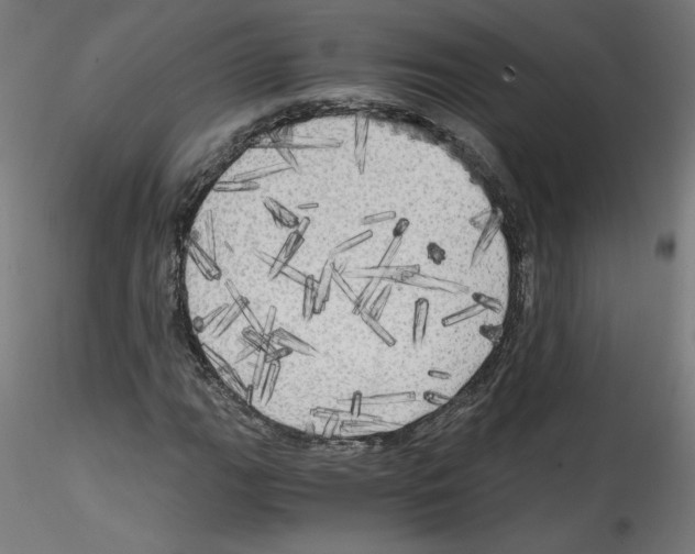 X0000114591111200911301353