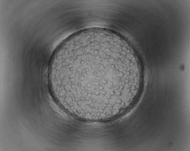 X0000114591113200911301353