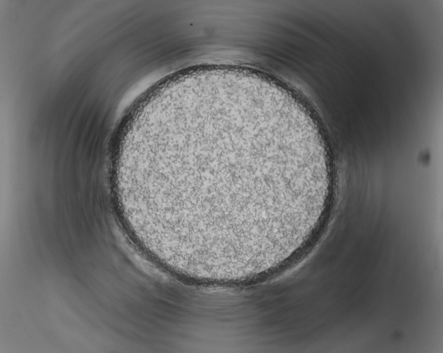 X0000114591114200911301353