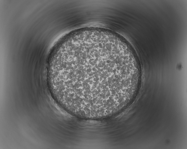 X0000114591115200911301353
