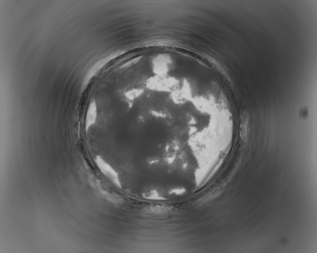 X0000114591117200911301353