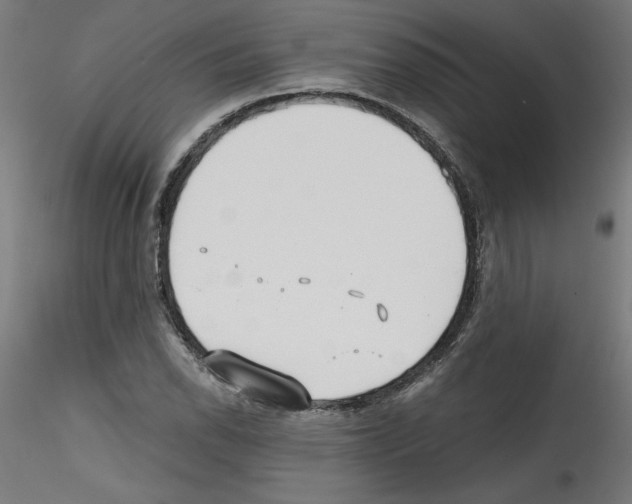 X0000114591118200911301353