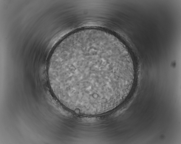 X0000114591121200911301353