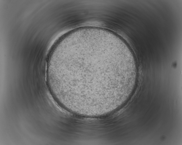 X0000114591123200911301353