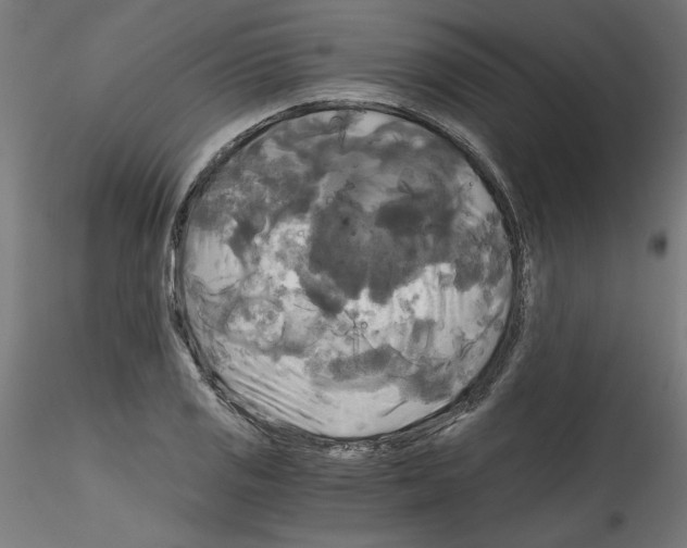 X0000114591125200911301353