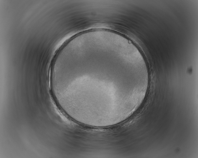 X0000114591127200911301353