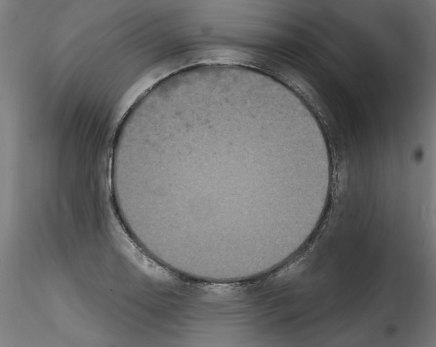 X0000114591130200911301353