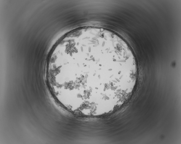 X0000114591131200911301353