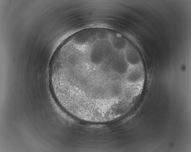 X0000114591133200911301353