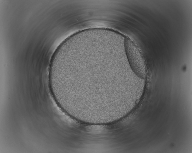 X0000114591134200911301353