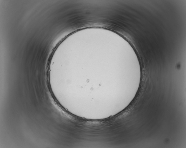 X0000114591135200911301353