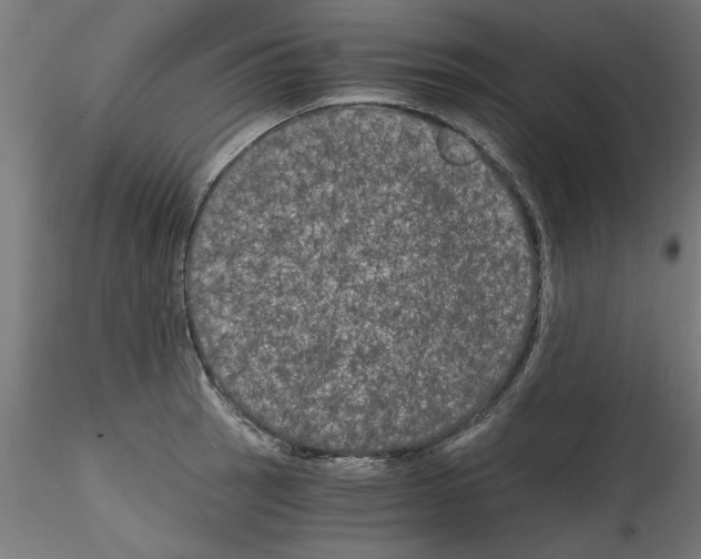 X0000114591137200911301353