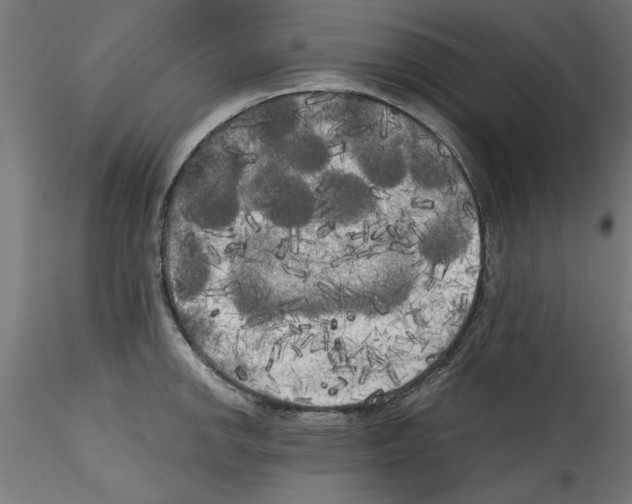 X0000114591142200911301353