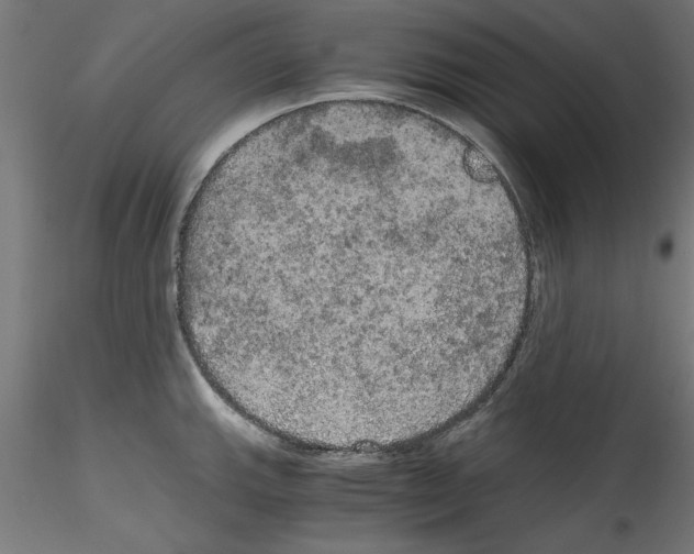 X0000114591143200911301353