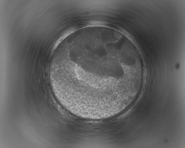 X0000114591145200911301353