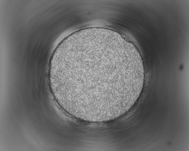X0000114591146200911301353