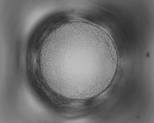 X0000114591150200911301353