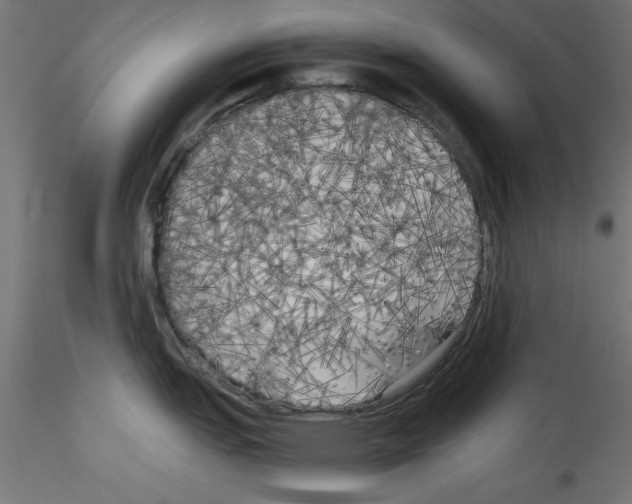 X0000114591151200911301353