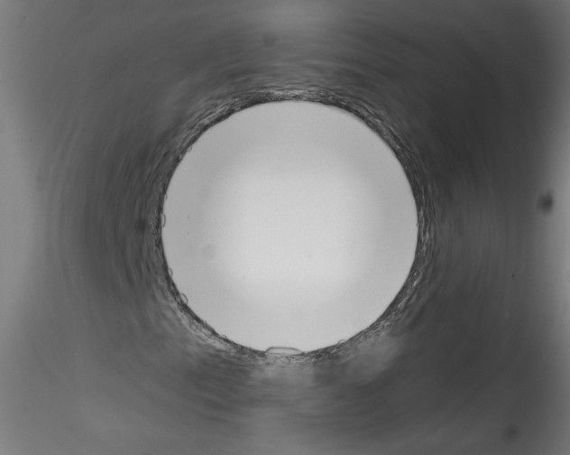 X0000114591153200911301353