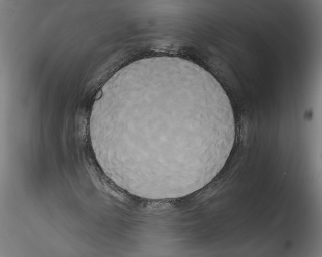 X0000114591154200911301353