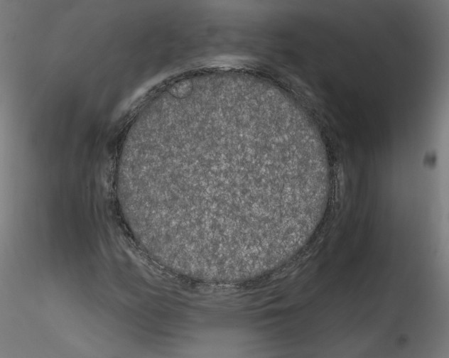 X0000114591158200911301353