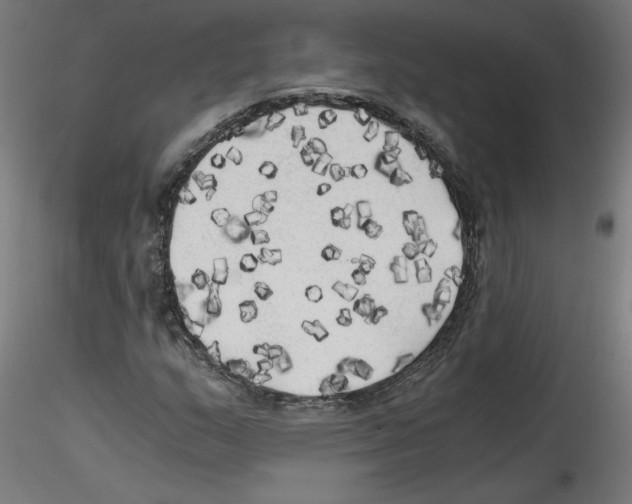 X0000114591159200911301353