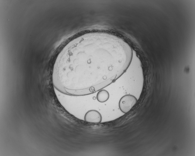 X0000114591160200911301353