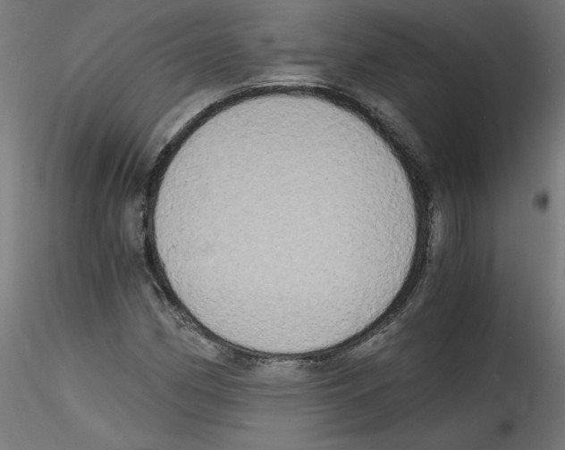 X0000114591162200911301353