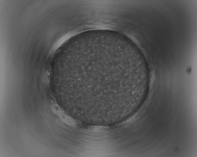 X0000114591163200911301353
