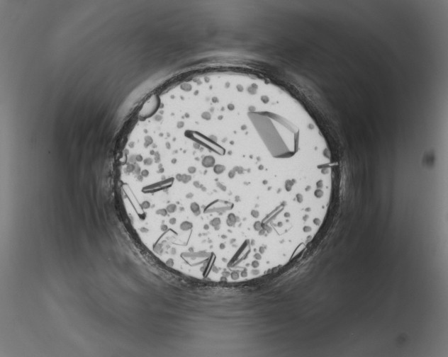 X0000114591164200911301352