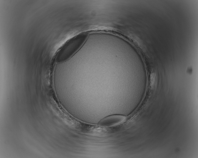 X0000114591165200911301352