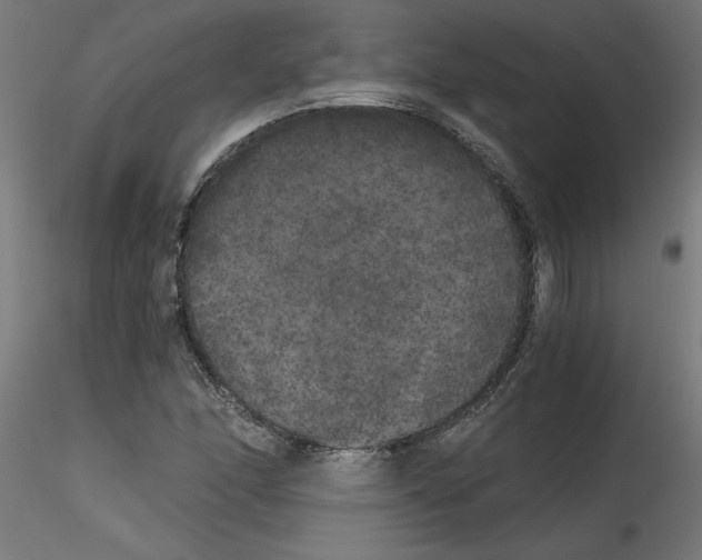 X0000114591166200911301352