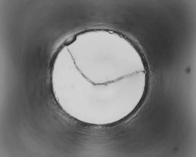 X0000114591167200911301352