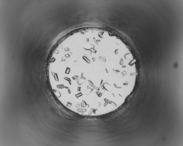 X0000114591168200911301352