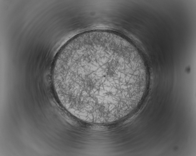 X0000114591170200911301352
