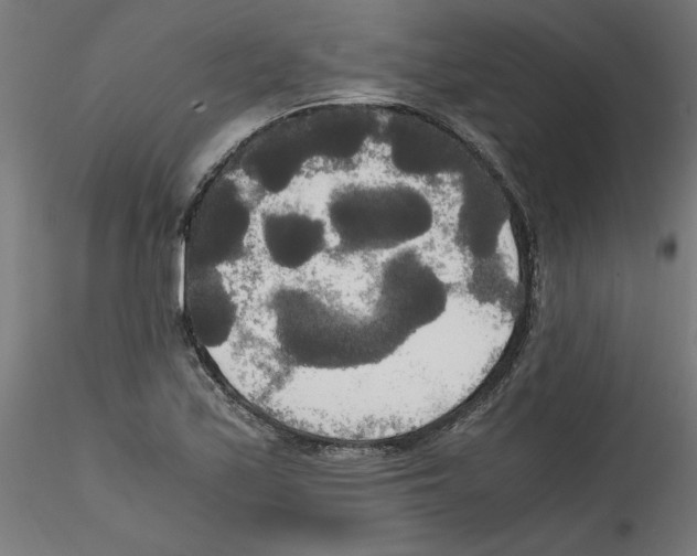 X0000114591171200911301352