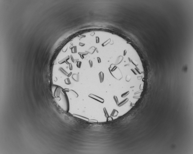 X0000114591172200911301352