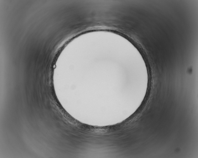 X0000114591173200911301352
